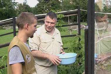 Dialogues about Animals. The Moscow Zoo 